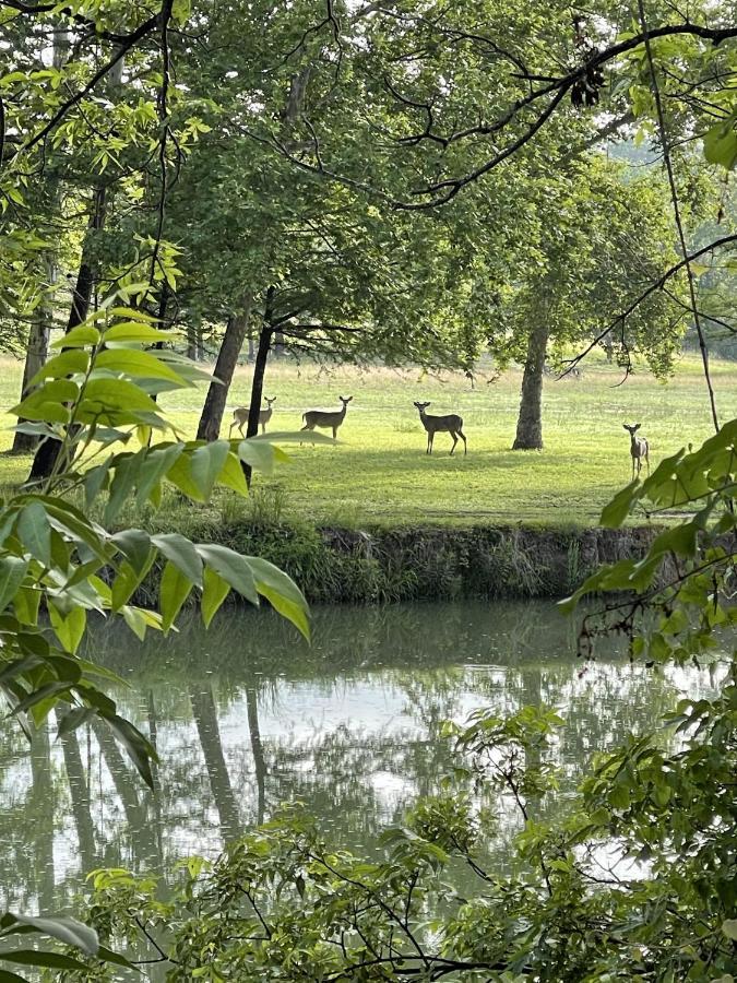 קרוויל Htr Tx Hill Country Campground מראה חיצוני תמונה